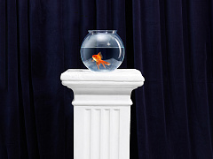 Что делать, если вас любит начальник