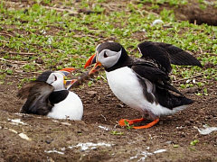 Три совета тем, кто поругался с коллегой или начальником