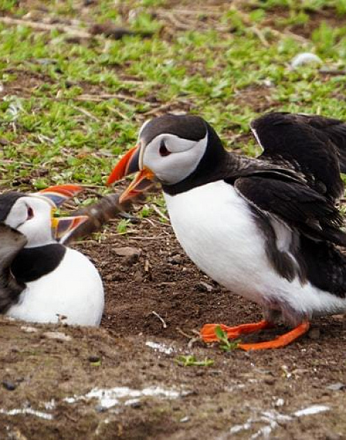 Три совета тем, кто поругался с коллегой или начальником