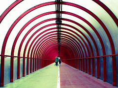 В режиме онлайн: как отделить личное от профессионального в соцсетях