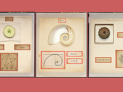 Формула инноваций