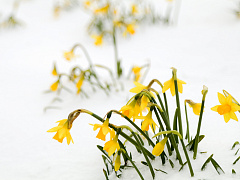 Чек-лист карьериста: как сохранить свое «я» в токсичной компании