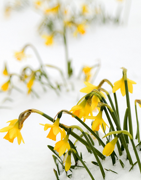 Чек-лист карьериста: как сохранить свое «я» в токсичной компании