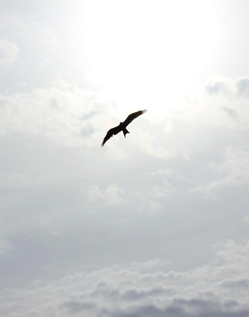 Пенсия для драйвера. Почему Олег Тиньков продает бизнес на пике успеха 