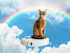 Почему роботы не делают людей счастливее