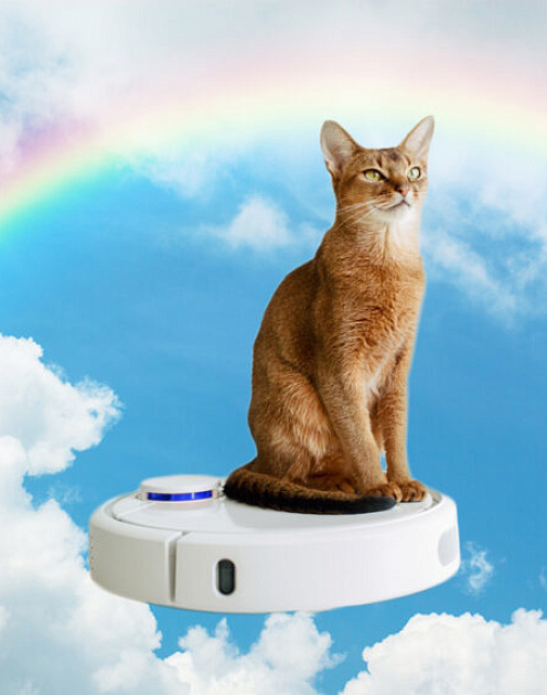 Почему роботы не делают людей счастливее