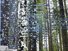 Как технологии меняют работу НКО