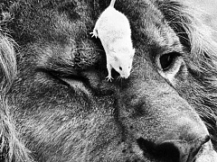 Как определить, что с вами не хотят общаться