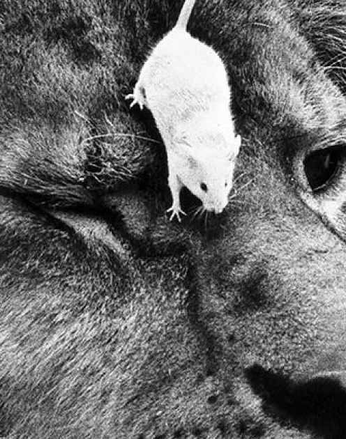 Как определить, что с вами не хотят общаться