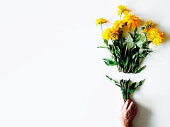 Как покончить с неудачным проектом