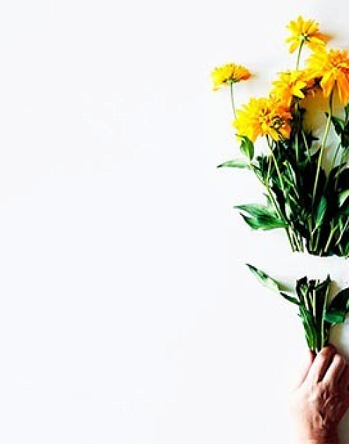 Как покончить с неудачным проектом