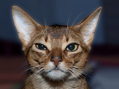 Три способа найти подход к упрямым сотрудникам