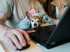 Как оставаться лидером, когда все работают из дома