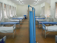 Хватит обвинять друг друга, пора бороться с вирусом Эбола