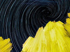 В ловушке: как избежать неверных решений