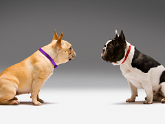 Шесть советов, которые помогут спокойно обсуждать сложные темы