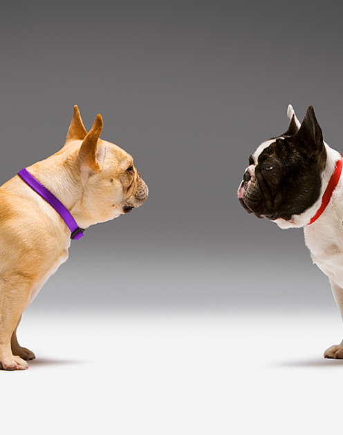 Шесть советов, которые помогут спокойно обсуждать сложные темы