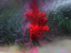 Заразные кадры