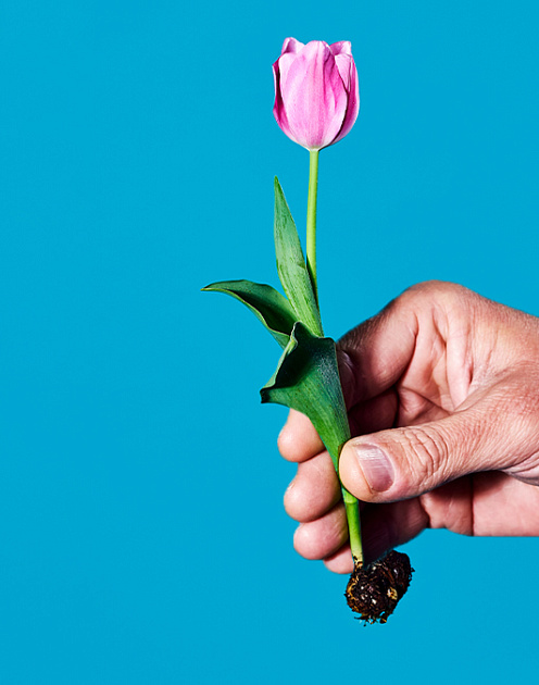 «Пути назад нет»: какой будет повестка для бизнеса и общества в 2022 году