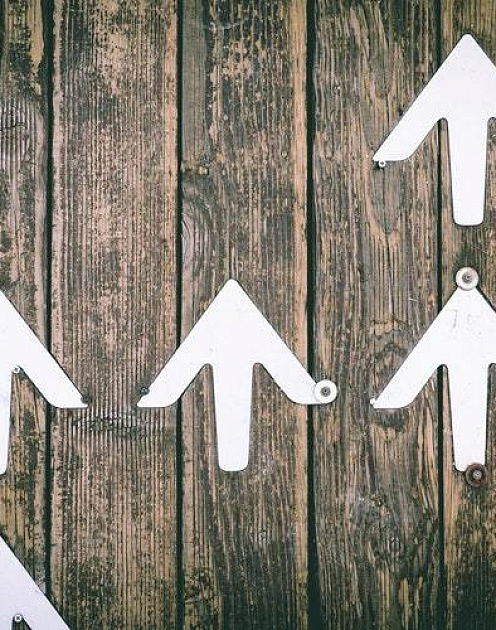 Среда успеха: как создать эффективную культуру в организации