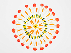 Как составить отчет об устойчивом развитии