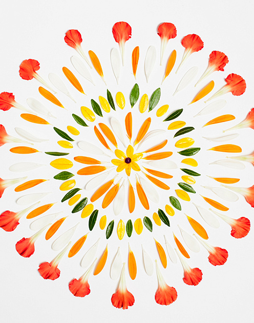 Как составить отчет об устойчивом развитии