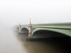 Почему жизнь за границей помогает карьере