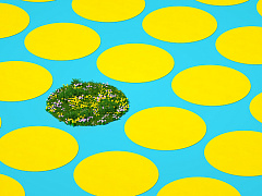 Осторожно, «зеленый пиар»!