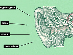 Что нужно знать, чтобы стать хорошим слушателем