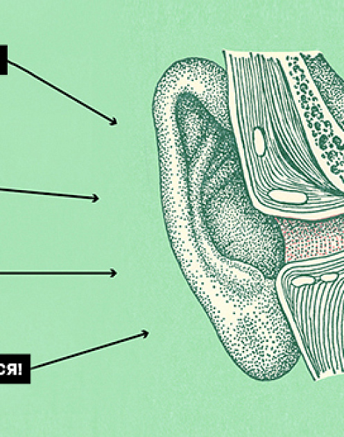Что нужно знать, чтобы стать хорошим слушателем