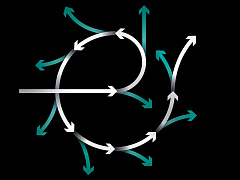 Жизненный цикл гендиректора