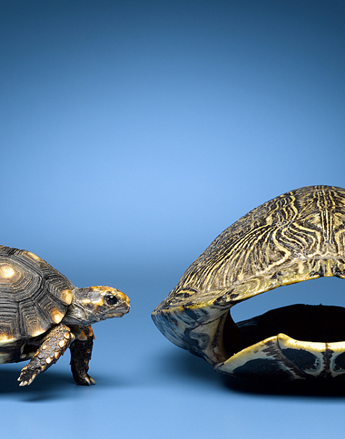 «Я ухожу»: почему ваши сотрудники произносят эту фразу