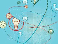 Революционные идеи 2006