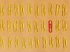 Женская доля: в каких странах и отраслях женщинам тяжело достигнуть карьерных высот