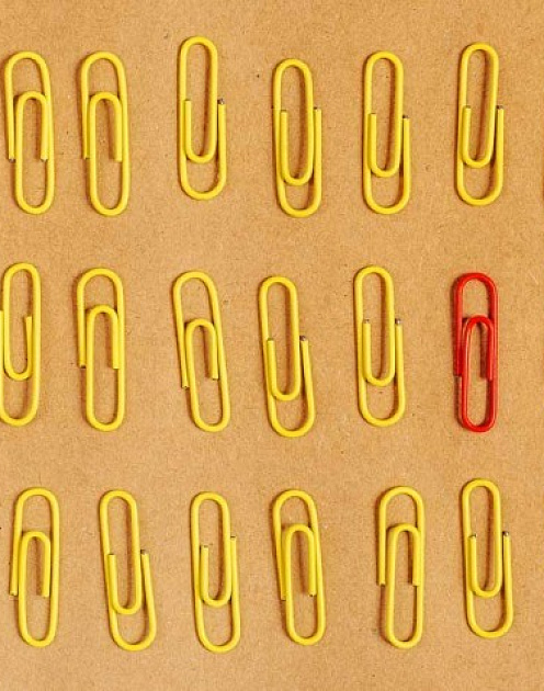 Женская доля: в каких странах и отраслях женщинам тяжело достигнуть карьерных высот