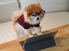 Как сплотить сотрудников, работающих в разных городах и часовых поясах 