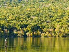 О пользе одиночества