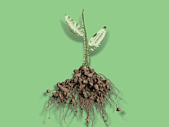 Как измерить ценность социальных инвестиций