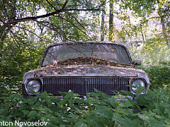 Хотите научиться думать?