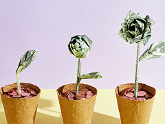 Подружитесь с инвесторами