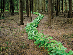Гибкие лайфхаки