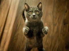 Почему уверенность в себе не всегда помогает достичь лучшего результата