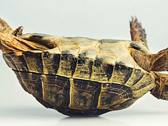 3 ловушки, которые мешают преображению компании