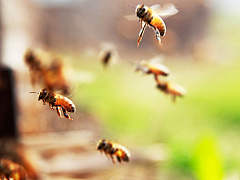 Уберите смартфон со стола во время работы