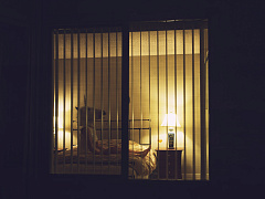 «Идеи для лидера»: путь до «единорога», новый СЕО Dodo Brands и вредные привычки руководителя