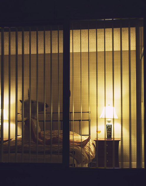 «Идеи для лидера»: путь до «единорога», новый СЕО Dodo Brands и вредные привычки руководителя