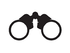 Какой из вас предсказаталь?