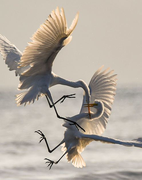 Две модели счастья