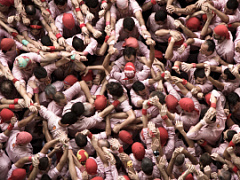 Эгоисты  и альтруисты