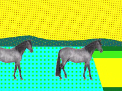 Чем бизнес-модель отличается от стратегии